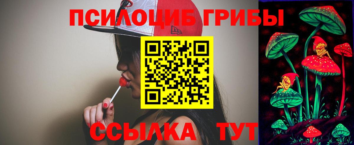 Псилоцибиновые грибы Cubensis  Вход с VPN  что такое наркотик  Губаха  Галлюциногенные грибы мухоморы 