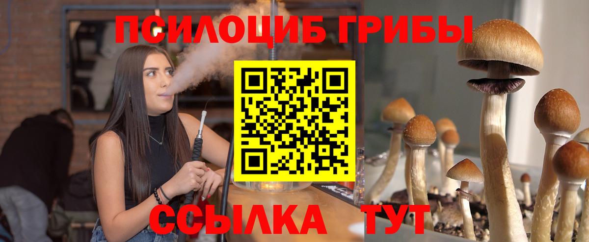 Галлюциногенные грибы мицелий Губаха